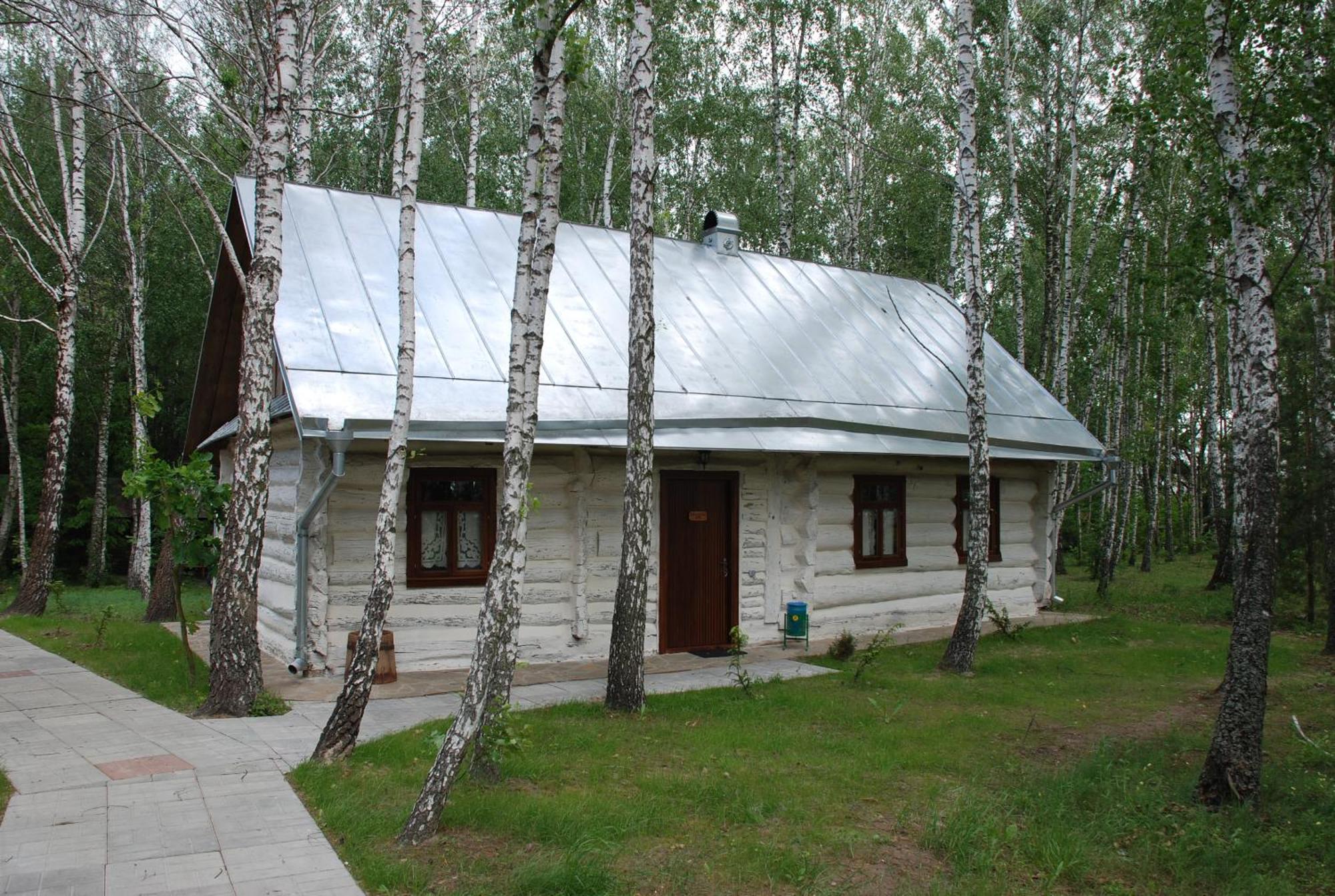 Отель Этно комплекс Украинское село Бузовая Экстерьер фото
