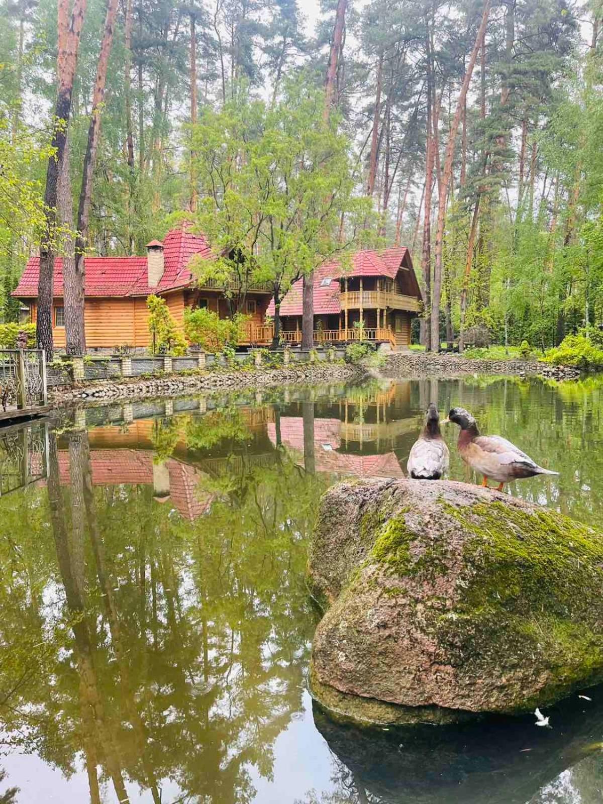 Отель Этно комплекс Украинское село Бузовая Экстерьер фото