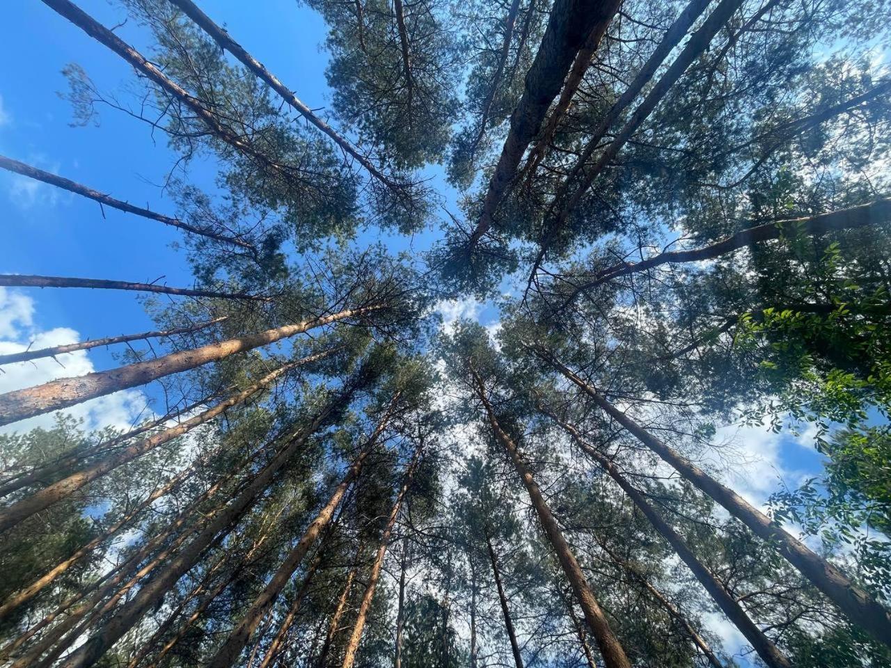 Отель Этно комплекс Украинское село Бузовая Экстерьер фото
