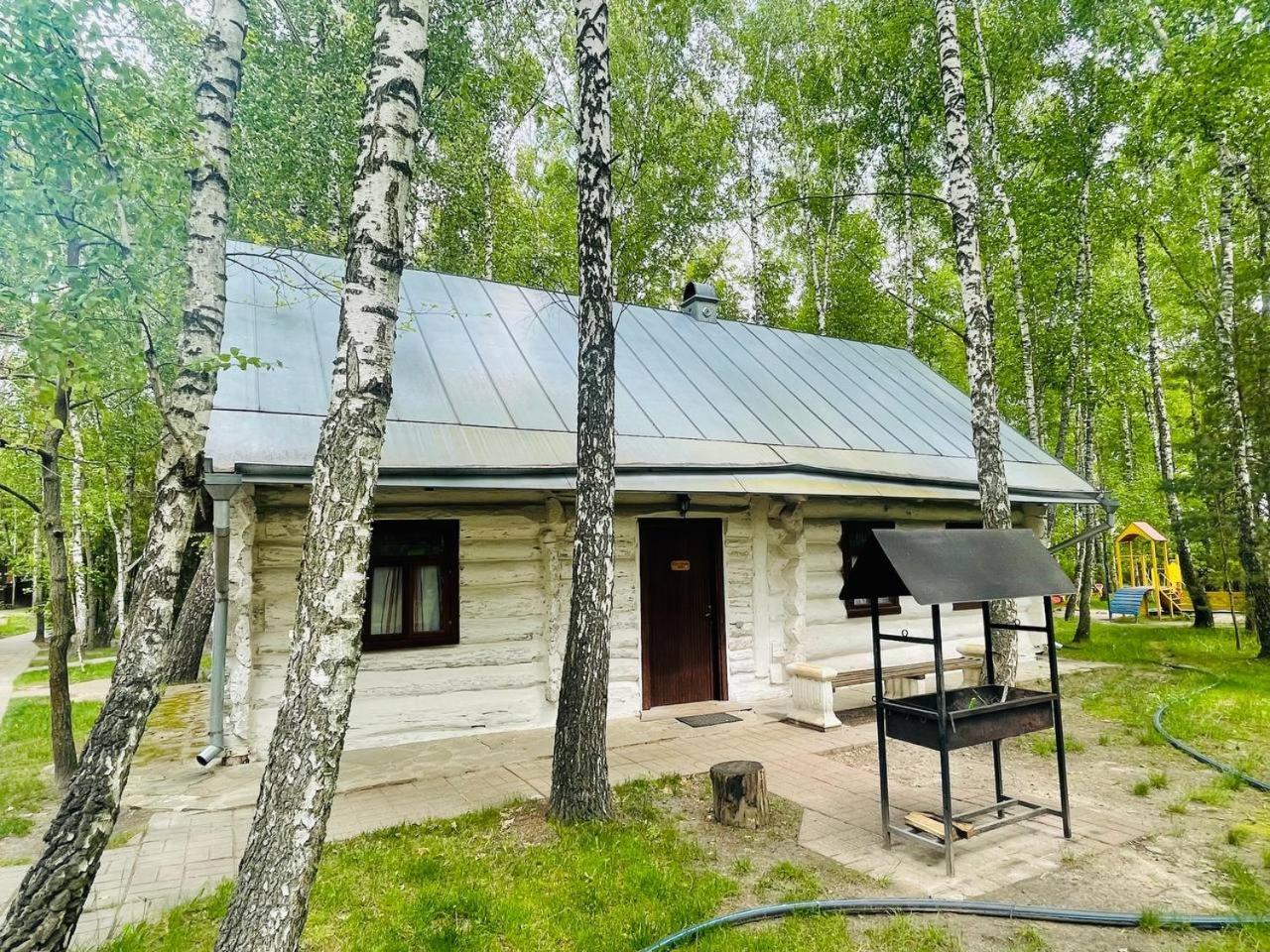 Отель Этно комплекс Украинское село Бузовая Экстерьер фото