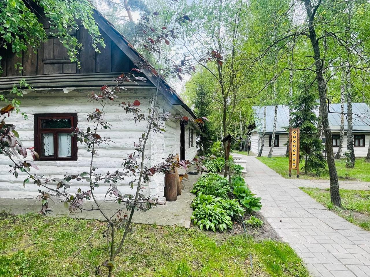 Отель Этно комплекс Украинское село Бузовая Экстерьер фото