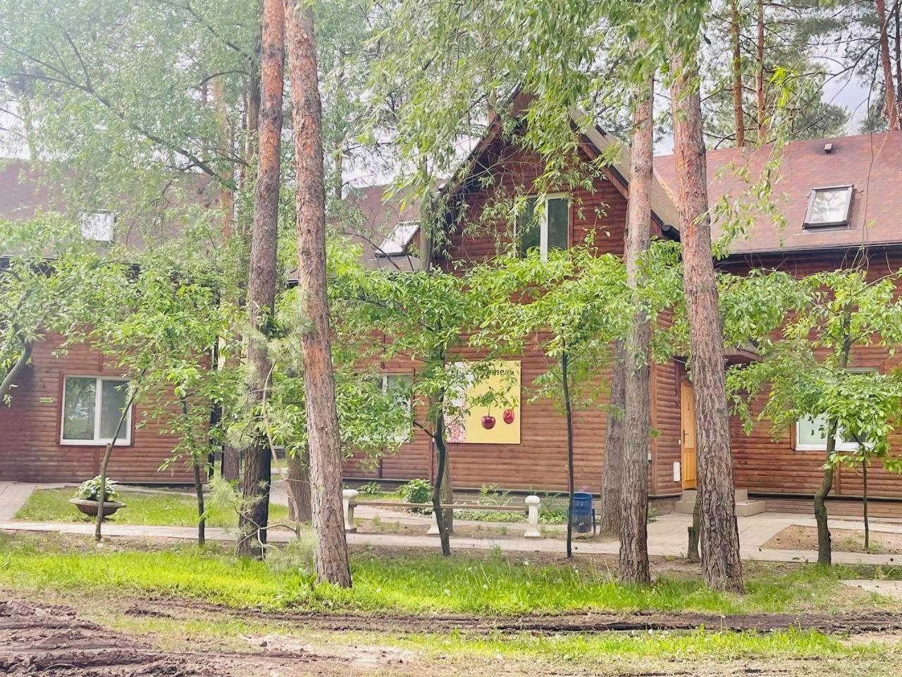 Отель Этно комплекс Украинское село Бузовая Экстерьер фото