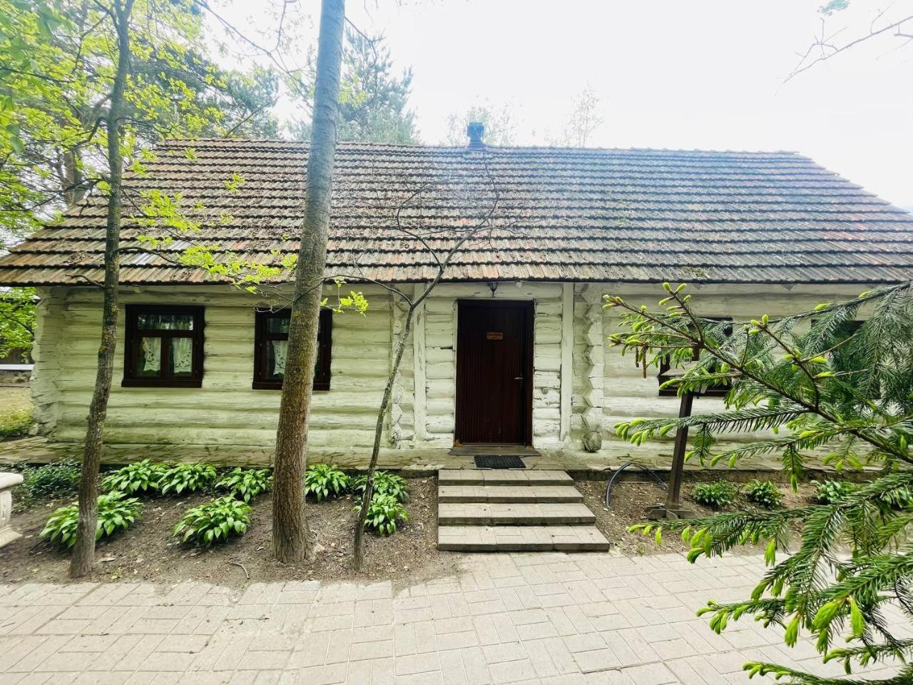 Отель Этно комплекс Украинское село Бузовая Экстерьер фото